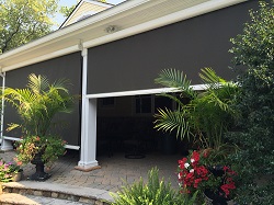 Exterior Screens block insects